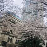 Nihombashi Isesada - 日銀と桜