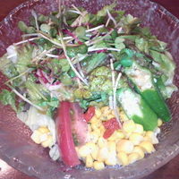 てっぱん料理味味亭 - サラダ
