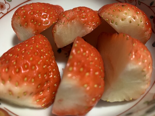 ネクサスファームおおくま（NEXUSFARM OKUMA） - 大野（その他）の写真