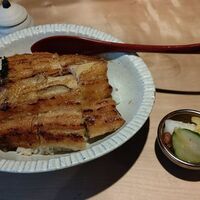 炭焼鰻 寝床 福島店 - ●夕食 単品。中瓶ﾋﾞｰﾙ715X2＋鰻腹丼3,080+うざく1,485=5,995円