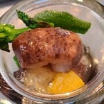 日本料理 TOBIUME - ③赤海鼠(福岡県若松産)
      産卵期は春～初秋、旬は冬
      赤、黒、青といるが生息域が違うだけで全て同じ真海鼠、赤海鼠が一番良い
      大胆なカットで軟らかく臭みゼロ、ウマい！