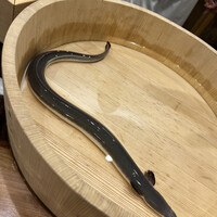 三宅輝 - 