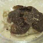 イタリアンレストラン Zucca - フレッシュ黒トリュフのリゾット