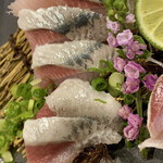 Konishi Zushi - 