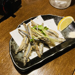 Kyuushuu Izakaya Icchoume Ichibanchi - 