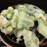 ふくおか - 蕗の薹