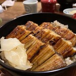 あなごめしうえの 宮島口本店 - 穴子飯(普通サイズ)