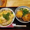 うどん 讃く