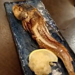 原始焼 日本酒 雨のち晴レルヤ。 - 