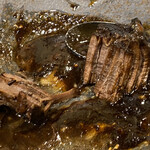 小江戸の洋食 コエド ボナペティ - 