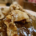 スタミナカレーの店バーグ - デラスタカレー（940円）＋中盛（170円）