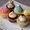 Bellas Cupcakes - カップケーキ6点