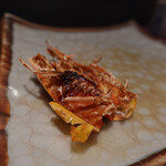 紋ずし - 車海老の握りを頼んだら付いてきた頭