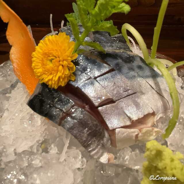 美食居酒屋 志絵扶（しえふ） - 青森（居酒屋）の写真