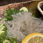 十三屋 大光 - 目が合う！