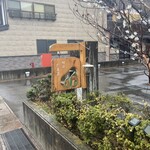 たま菜 - 