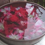 マイガーデン - 