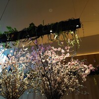 横浜焼肉kintan - 