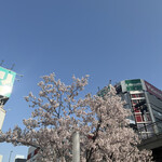 日本料理 太月 - ランチフルコース１７３２５円。この日の新宿？。お店は表参道です