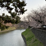 日本料理 太月 - ランチフルコース１７３２５円。この日の千鳥ヶ淵。お店は表参道です。