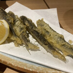 町田酒場 輝一 - 