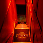 HAVANA1950 - 