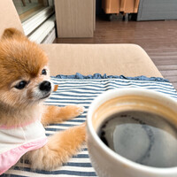 シースケープ テラス・ダイニング - 