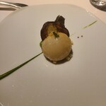 レフェルヴェソンス - 