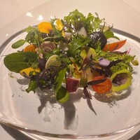 レフェルヴェソンス - 