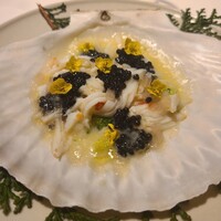 レフェルヴェソンス - 