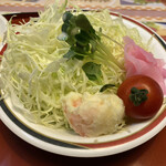 Tsuruga Yoroppa Ken - ミニサイズどいうより、レギュラーサイズくらいのサラダ