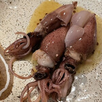 鮨 波づき - 富山　ホタルイカ　イカツメ