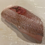 鮨 波づき - 春子　桜ぞえ