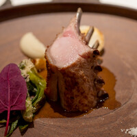 レストラン オオツ - 2022.3 千葉産花悠仔豚骨付きロース 天然タラの芽 葉玉葱 菊芋のピュレ