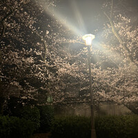BLUE BIRDS ROOF TOP TERRACE - 