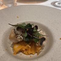 ARMONICO - 