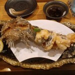 酒 肴 すし 旬菜 わさび - オコゼ唐揚