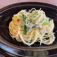 スミレオオサカ -  スミレオオサカ -