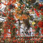 イタリアンレストラン 麦 - 