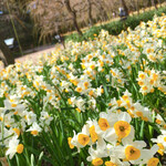 イタリアンレストラン 麦 - 