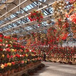 イタリアンレストラン 麦 - 