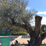 イタリアンレストラン 麦 - 