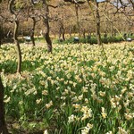 イタリアンレストラン 麦 - 