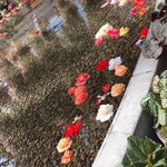 イタリアンレストラン 麦 - 