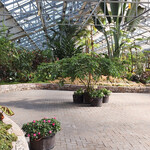 イタリアンレストラン 麦 - 