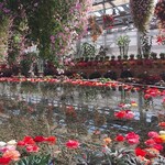 イタリアンレストラン 麦 - 