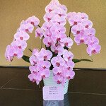 イタリアンレストラン 麦 - 