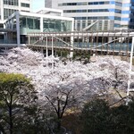 ラーメン二郎 - 品川セントラルガーデン