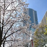 ラーメン二郎 - ほぼ満開だ