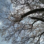 ラーメン二郎 - 昼過ぎから曇ってきた